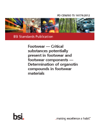 PD CEN ISO/TS 16179:2012