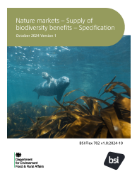 BSI Flex 702 v1.0:2024-10