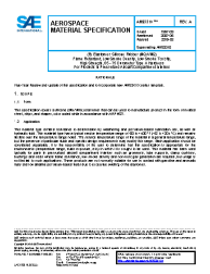 SAE AMS 3310A:2019-08-30