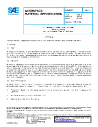 SAE AMS 3302J:2019-02-28
