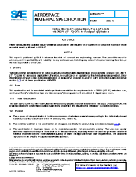 SAE AMS 6891:2020-12-30