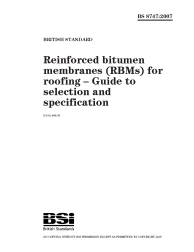BS 8747:2007