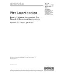 BS EN 60695-1-1:1996