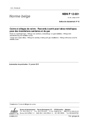 NBN P 12-001:2013