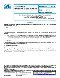 SAE AMS 5643/H 1025A:2014-12-23