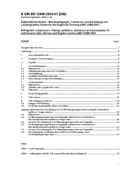 DIN EN 12900:2024-01