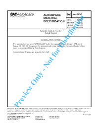 SAE AMS 7878C:2002-08-20