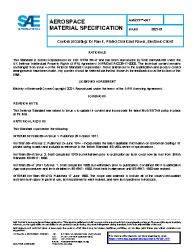 SAE AMS 59_047:2021-01-28