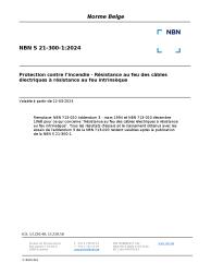 NBN S 21-300-1:2024