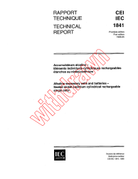 IEC TS 61841:1996
