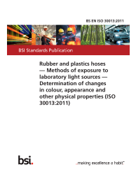 BS EN ISO 30013:2011