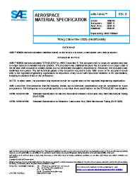 SAE AMS-T-5066B:2020-07-01