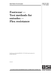 BS EN ISO 17707:2005