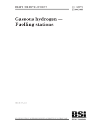 DD ISO/TS 20100:2008