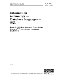 BS ISO/IEC 9075-13:2002