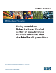 DD CEN/TS 16305:2012