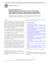 ASTM F2527-24
