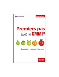 Premiers pas avec le CMMI - Organisation - Processus - Performance