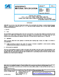 SAE AMS 4287C:2025-02-25
