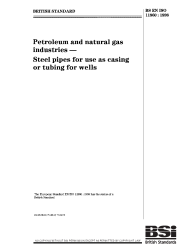 BS EN ISO 11960:1998