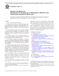 ASTM F3809-26