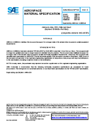 SAE AMS-QQ-A-250/24C:2021-05-21