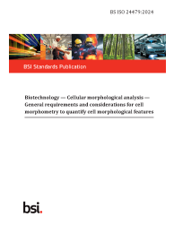 BS ISO 24479:2024