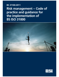 BS 31100:2011