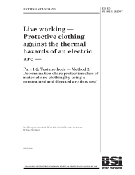 BS EN 61482-1-2:2007