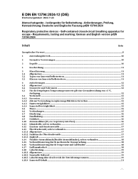 DIN EN 13794:2024-12