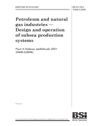 BS EN ISO 13628-5:2009