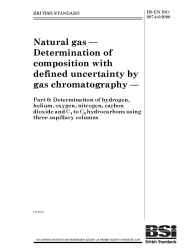 BS EN ISO 6974-6:2008