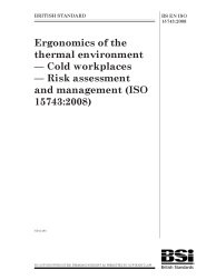 BS EN ISO 15743:2008