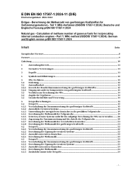 DIN EN ISO 17507-1:2024-11