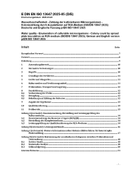 DIN EN ISO 13647:2025-05