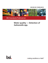 BS EN ISO 19250:2013