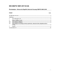 DIN CEN/TS 16981*DIN SPEC 4877:2017-02