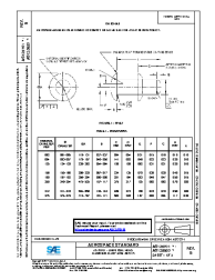 SAE AS 125701B:2017-05-01