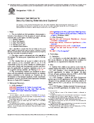 ASTM F1233-21
