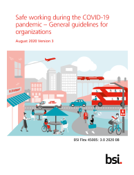 BSI Flex 45005: 3.0 2020 08