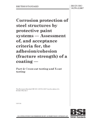 BS EN ISO 16276-2:2007