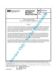 SAE AMS-R-81903:2008-01-25