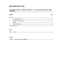 DIN 12245:2023-11