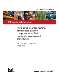 BS EN 61300-2-19:2013