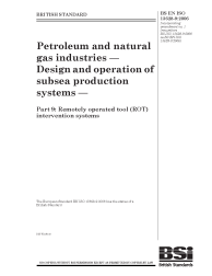 BS EN ISO 13628-9:2006