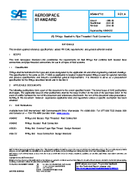 SAE AS 4843/2A:2016-06-06