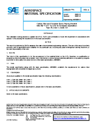 SAE AMS 6891/1A:2025-12-01