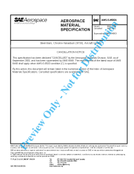 SAE AMS-S-8503A:2002-09-04