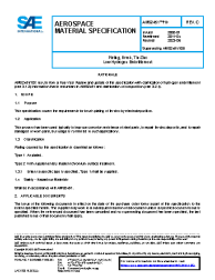 SAE AMS 2451/10C:2023-06-27