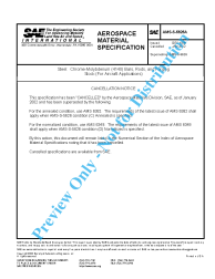 SAE AMS-S-5626A:2002-01-24